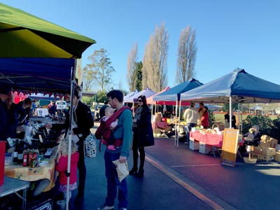 opawa farmer's market Christchurch