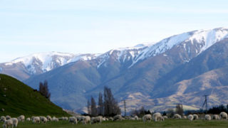 ニュージーランドの山がキレイ