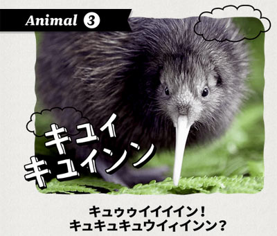 ニュージーランドの国鳥キウイ